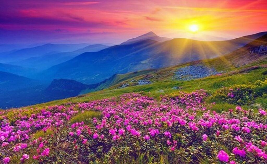 Valley_of_flowers_2 Valley of Flowers Best Time to Visit